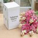 Полиантес Тубероза розовая "Cherry" 100 штук (шоу-бокс) 100202 фото 2